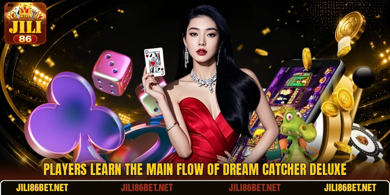 Players learn the main flow of Dream Catcher Deluxe Players learn the main flow of Dream Catcher Deluxe